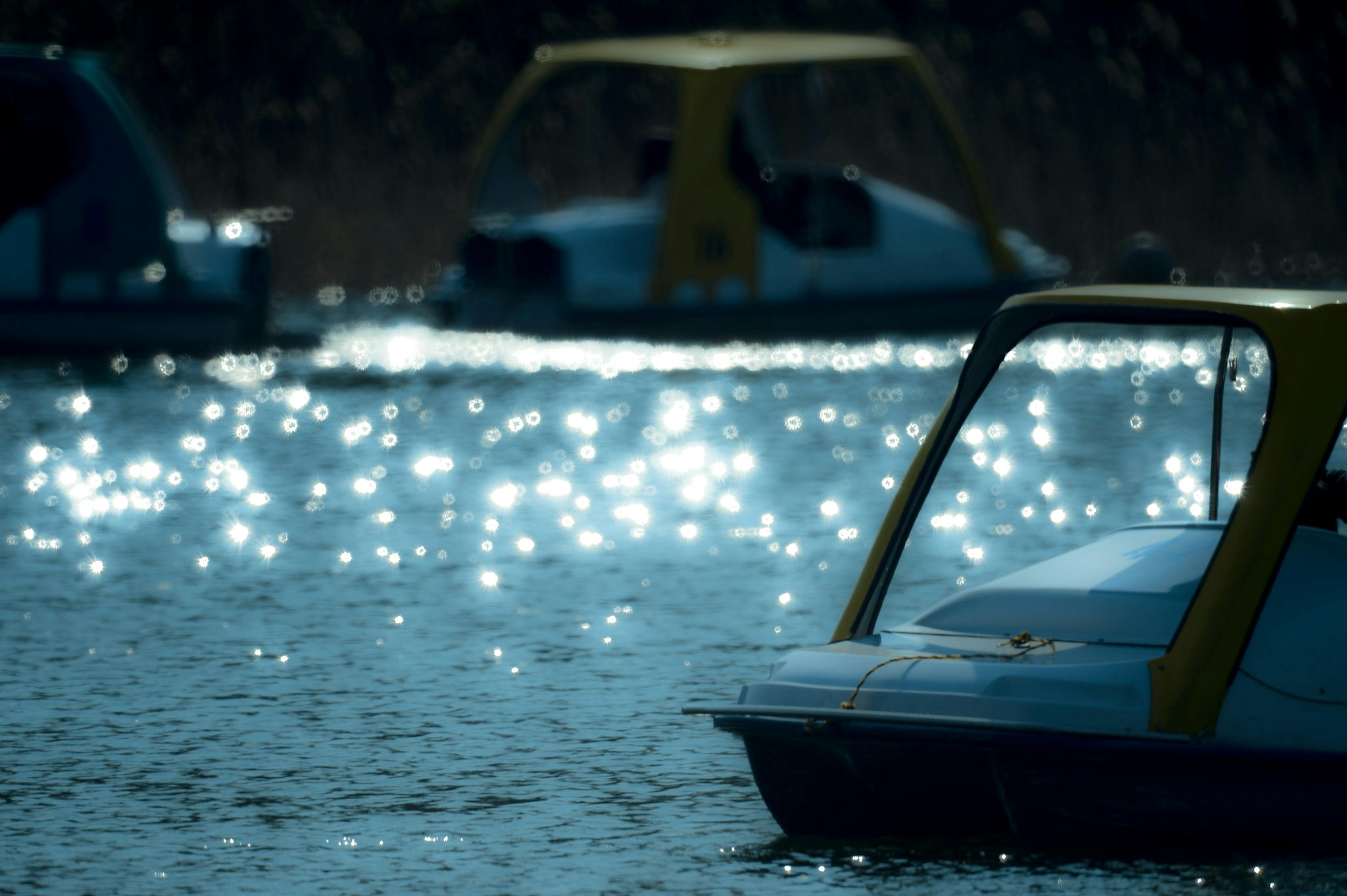 banner-image